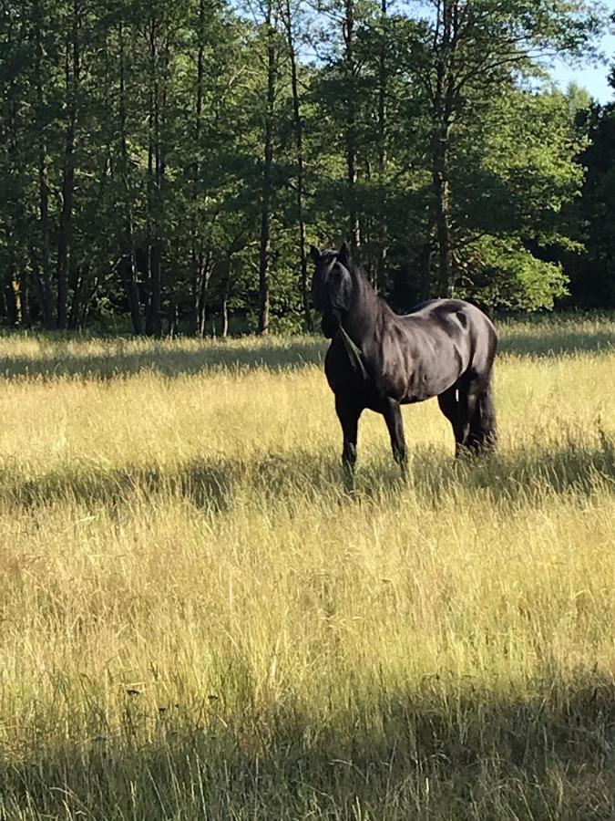 Oernatorpet Ullared Villa Buitenkant foto