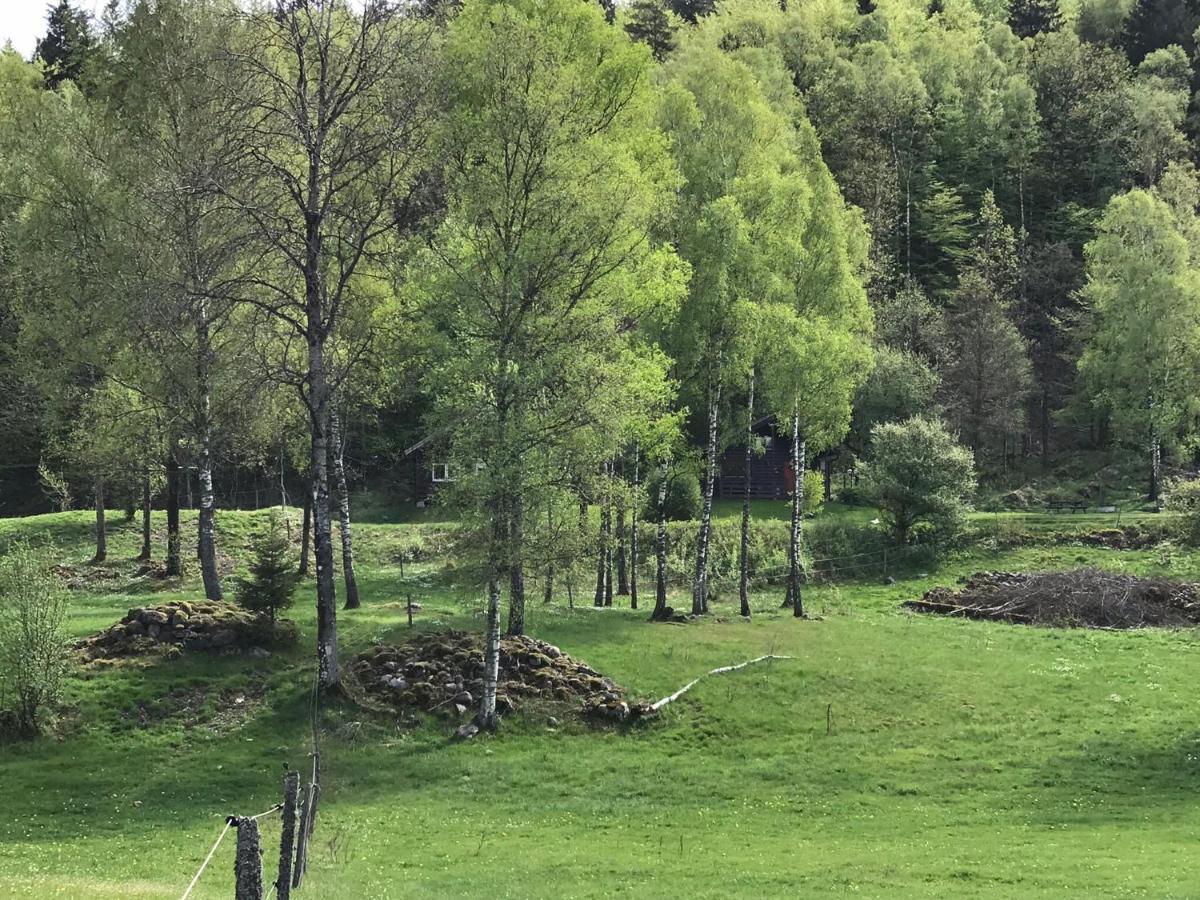 Oernatorpet Ullared Villa Buitenkant foto